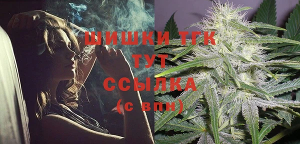 соль ск Вязьма